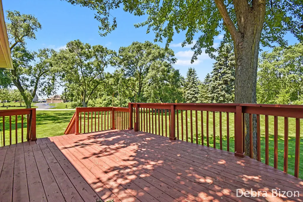 1573 Dexter Street SW Byron Township MI 49315