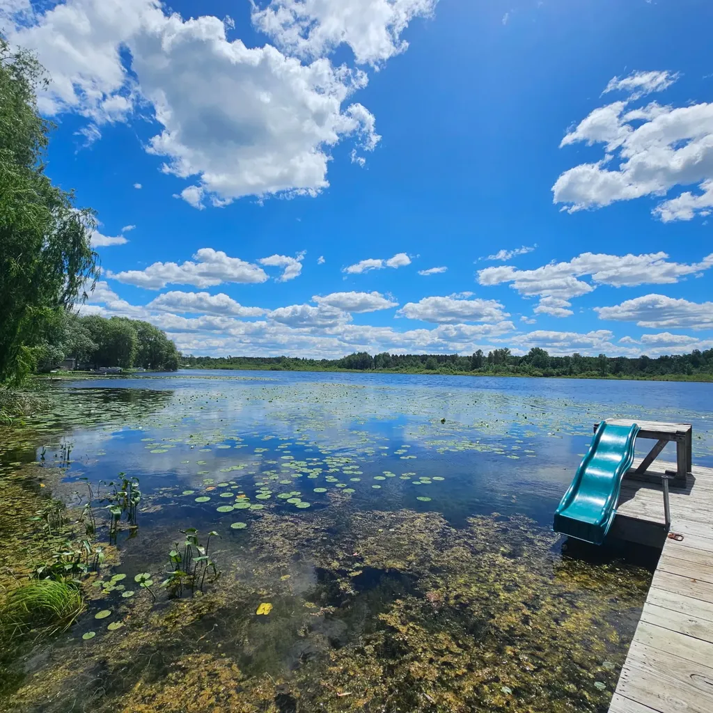 2271 Birch Drive Sylvan Township MI 49679