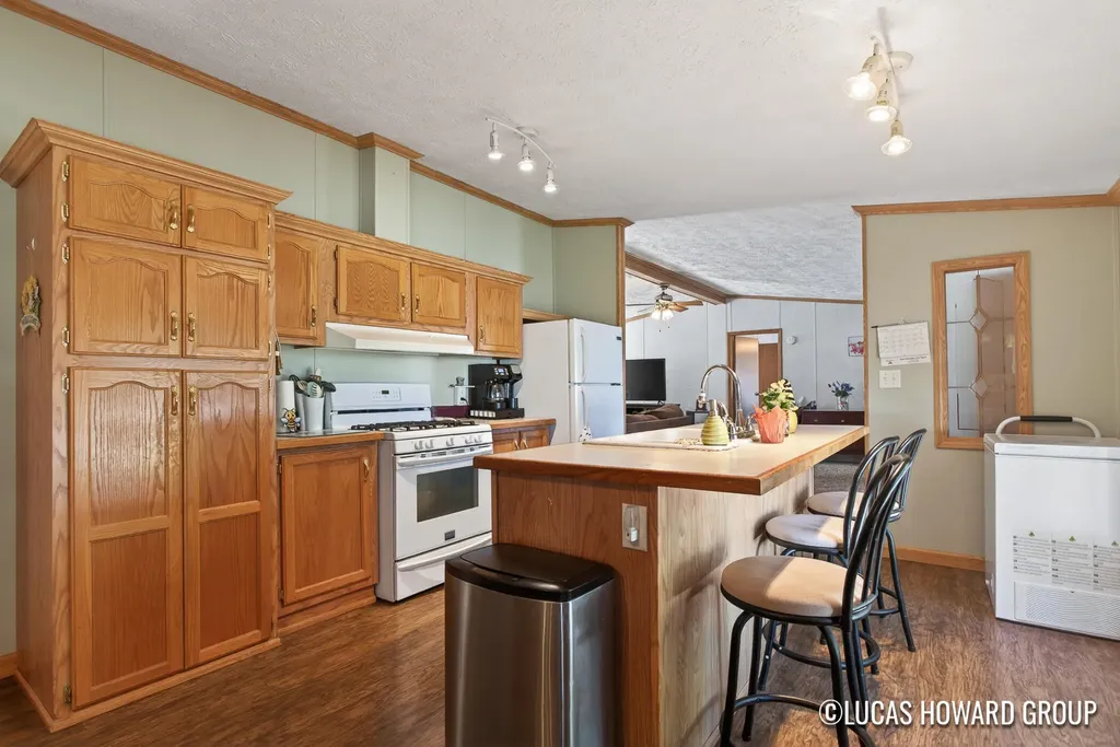 360 E Tuttle Road Ionia Township MI 48846