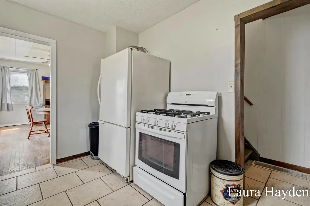 1367 E Riverside Drive Ionia Township MI 48846