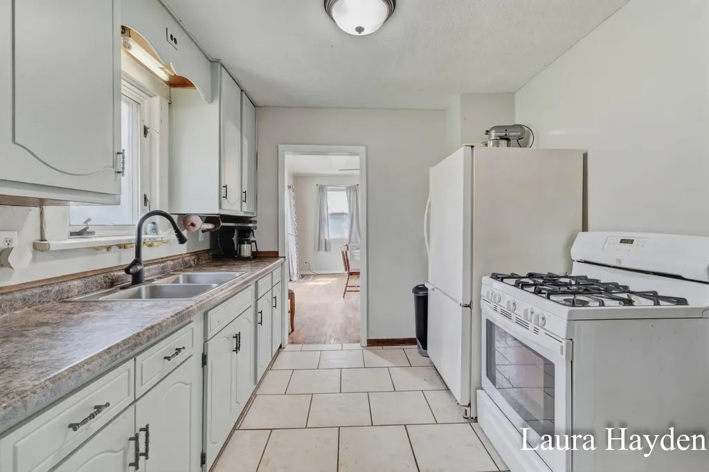 1367 E Riverside Drive Ionia Township MI 48846