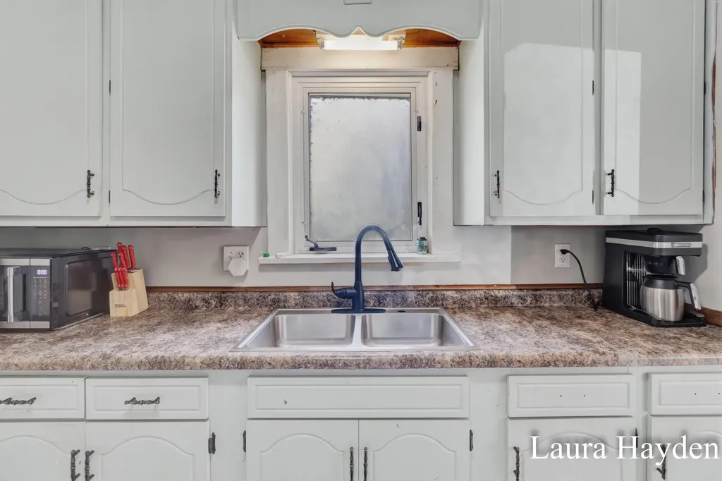 1367 E Riverside Drive Ionia Township MI 48846