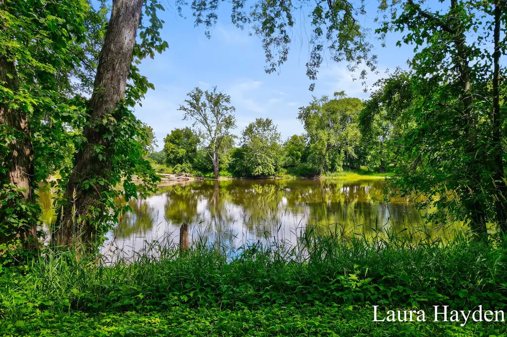 1367 E Riverside Drive Ionia Township MI 48846