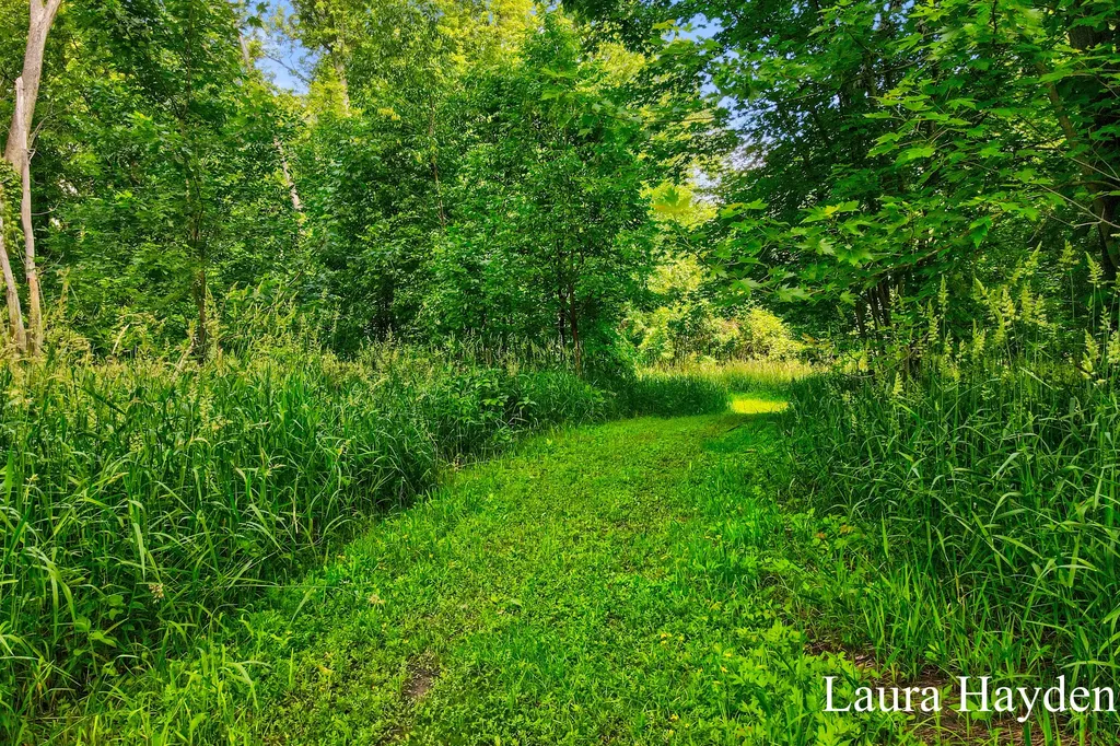 1367 E Riverside Drive Ionia Township MI 48846