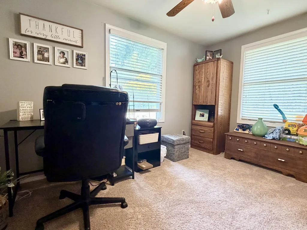 1510 Alger Street Lake Odessa Village MI 48849