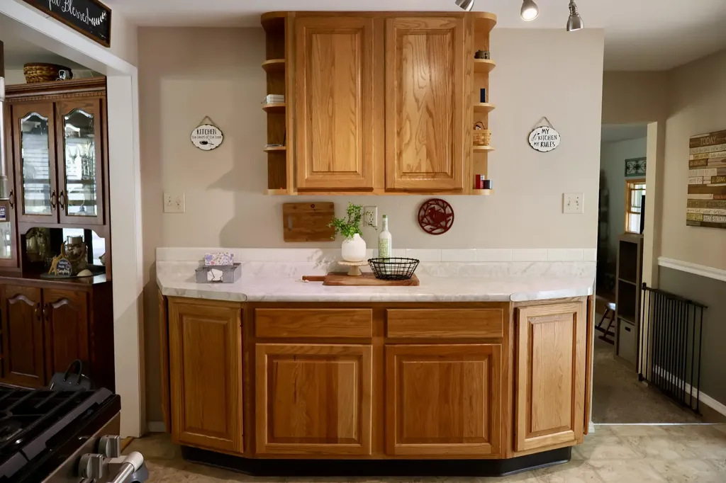 1510 Alger Street Lake Odessa Village MI 48849