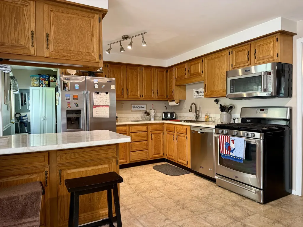 1510 Alger Street Lake Odessa Village MI 48849