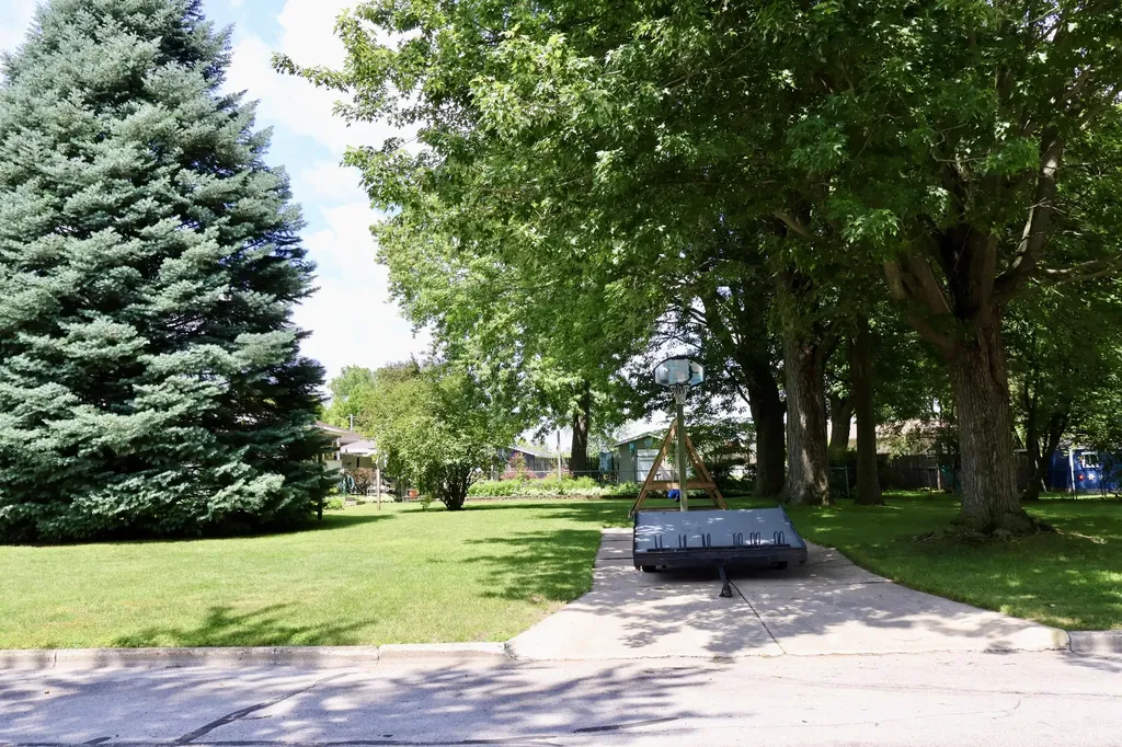 1510 Alger Street Lake Odessa Village MI 48849