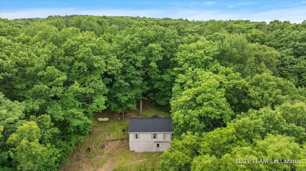 6718 Schmeid Road Cato Township MI 48850