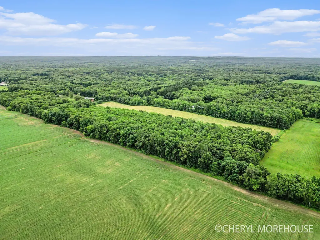 1951 N Norris Road Yankee Springs Township MI 49333