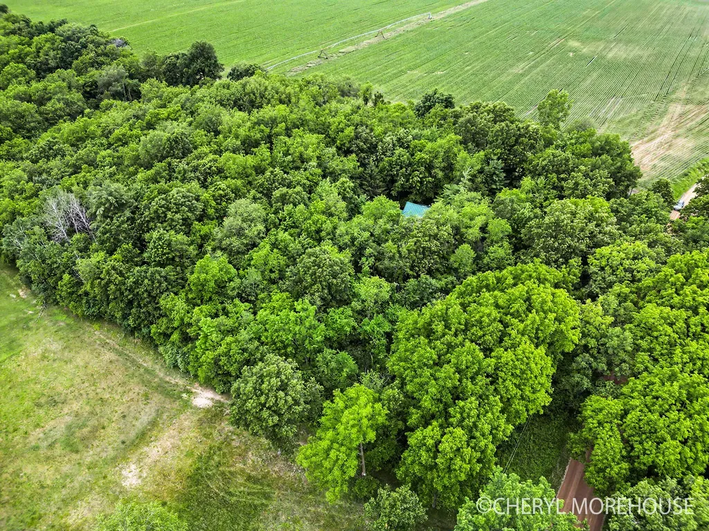 1951 N Norris Road Yankee Springs Township MI 49333