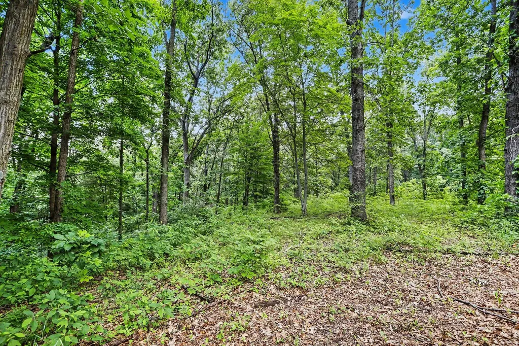 10642 Keller Road Orangeville Township MI 49046