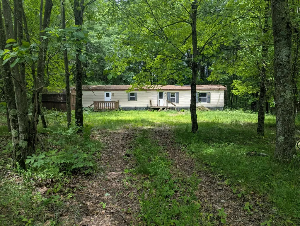 1307 N Blacksmith Lane Lincoln Township MI 49349