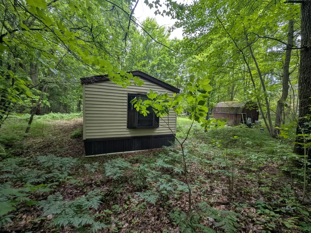 1307 N Blacksmith Lane Lincoln Township MI 49349