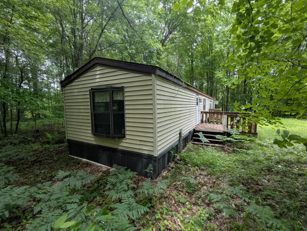 1307 N Blacksmith Lane Lincoln Township MI 49349