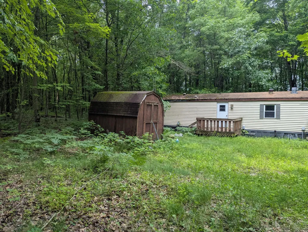 1307 N Blacksmith Lane Lincoln Township MI 49349