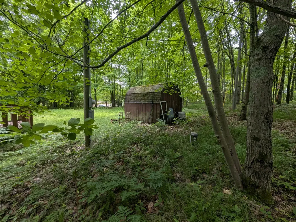 1307 N Blacksmith Lane Lincoln Township MI 49349