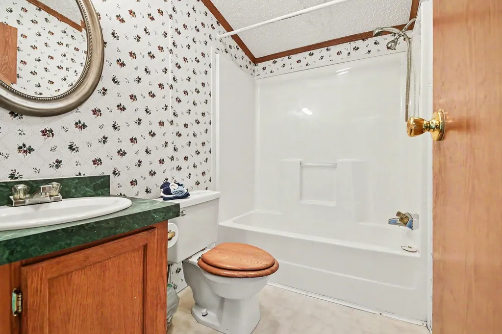 11644 E Hillis Road Ferris Township MI 48877