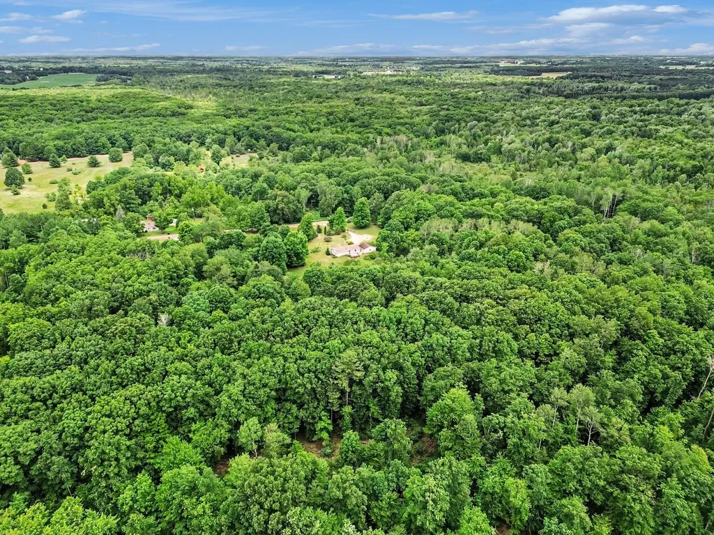 11644 E Hillis Road Ferris Township MI 48877