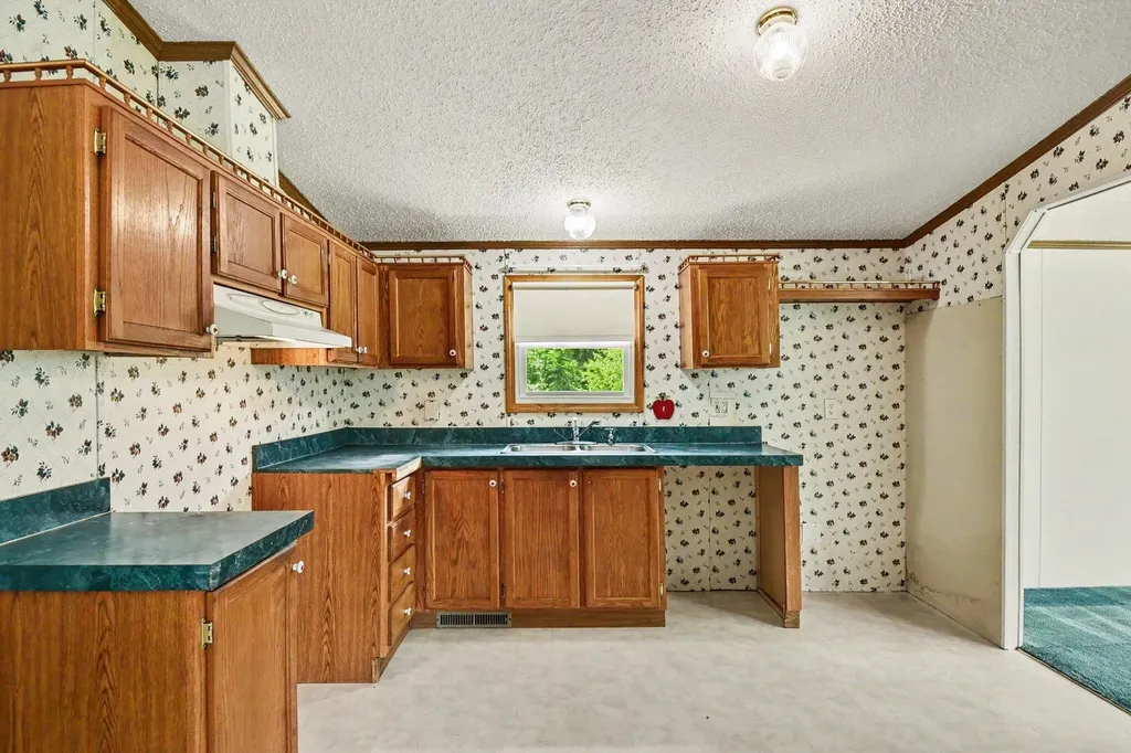11644 E Hillis Road Ferris Township MI 48877