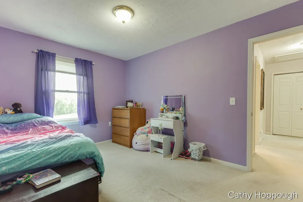 8152 Murphy Road Lyons Township MI 48851