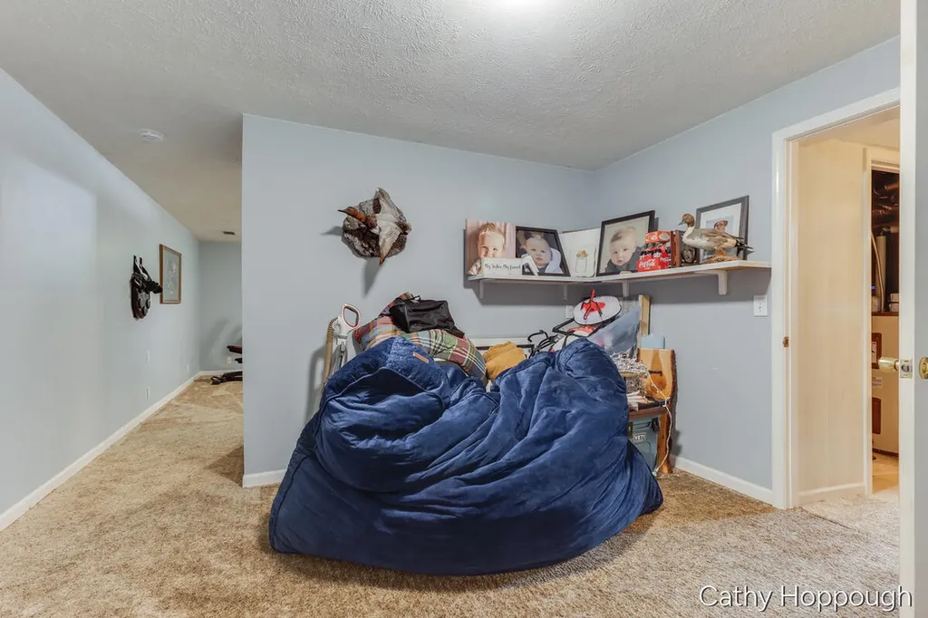 8152 Murphy Road Lyons Township MI 48851