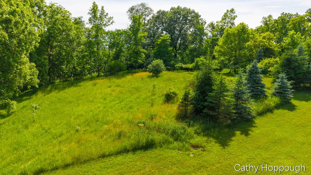 8152 Murphy Road Lyons Township MI 48851