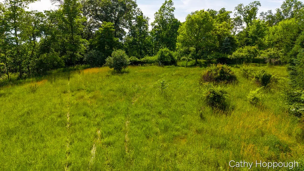 8152 Murphy Road Lyons Township MI 48851