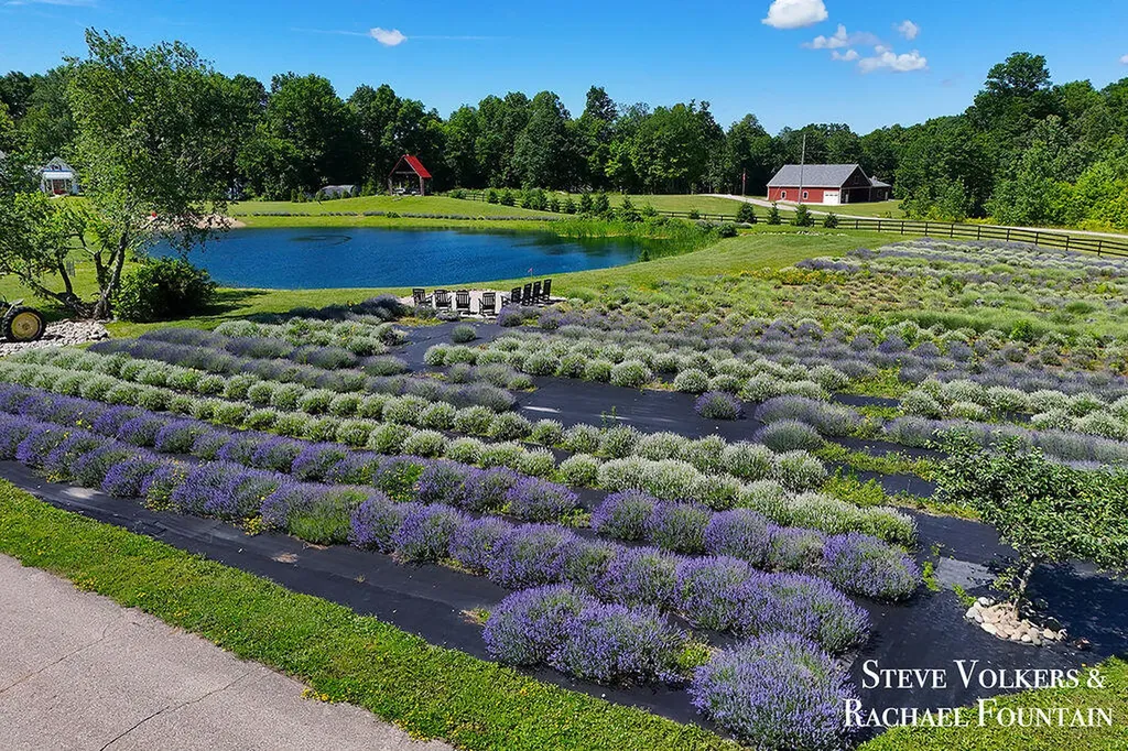 464 Stanton Farms Drive Leighton Township MI 49316