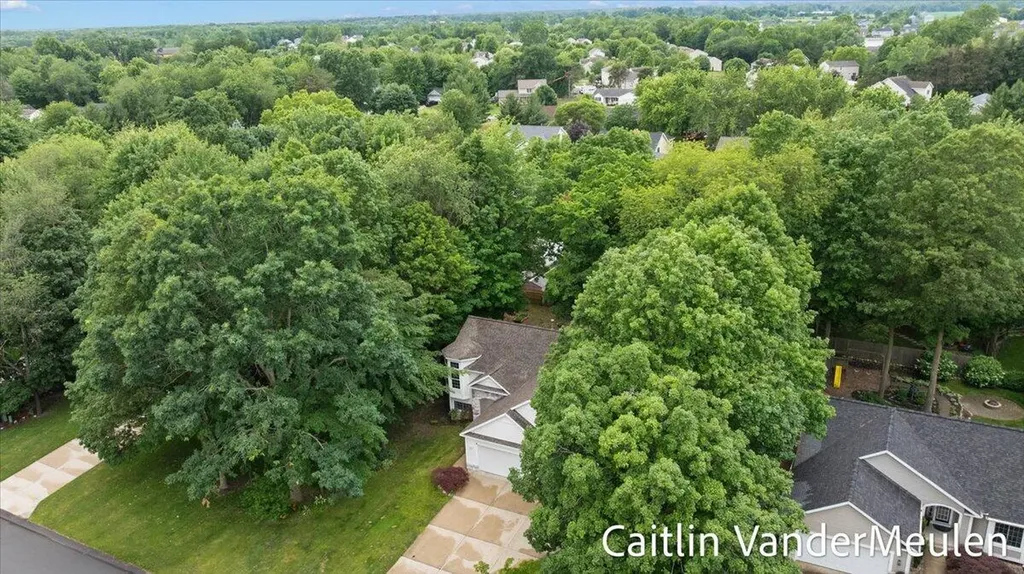 11035 Timberline Drive Allendale Charter Township MI 49401