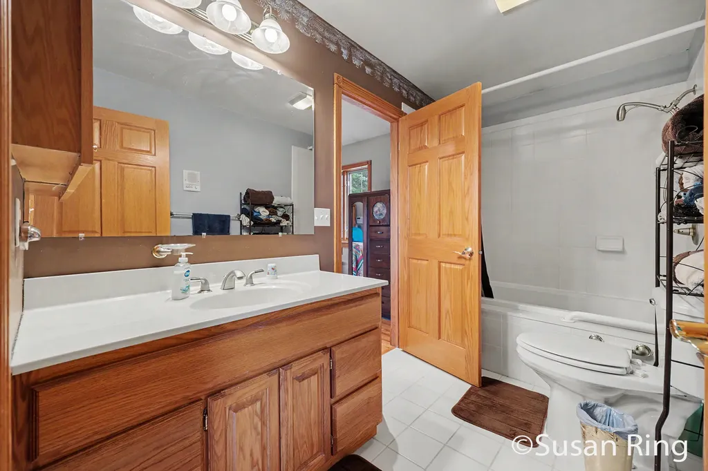 3454 Holland Lake Evergreen Township MI 48884