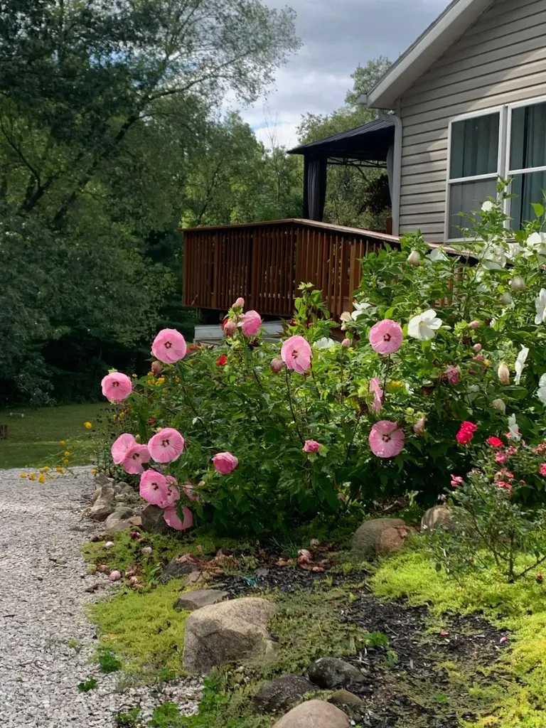 4103 170th Avenue Deerfield Township MI 49336