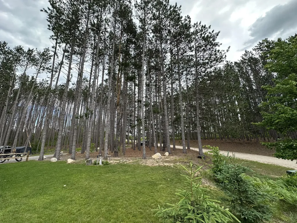 22032 Pine Valley Drive Burdell Township MI 49688