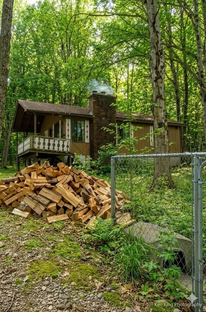 7542 Wyndamar Drive Mancelona Township MI 49659