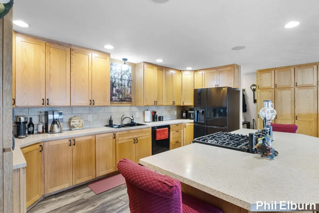 3611 Holiday Drive Montcalm Township MI 48838