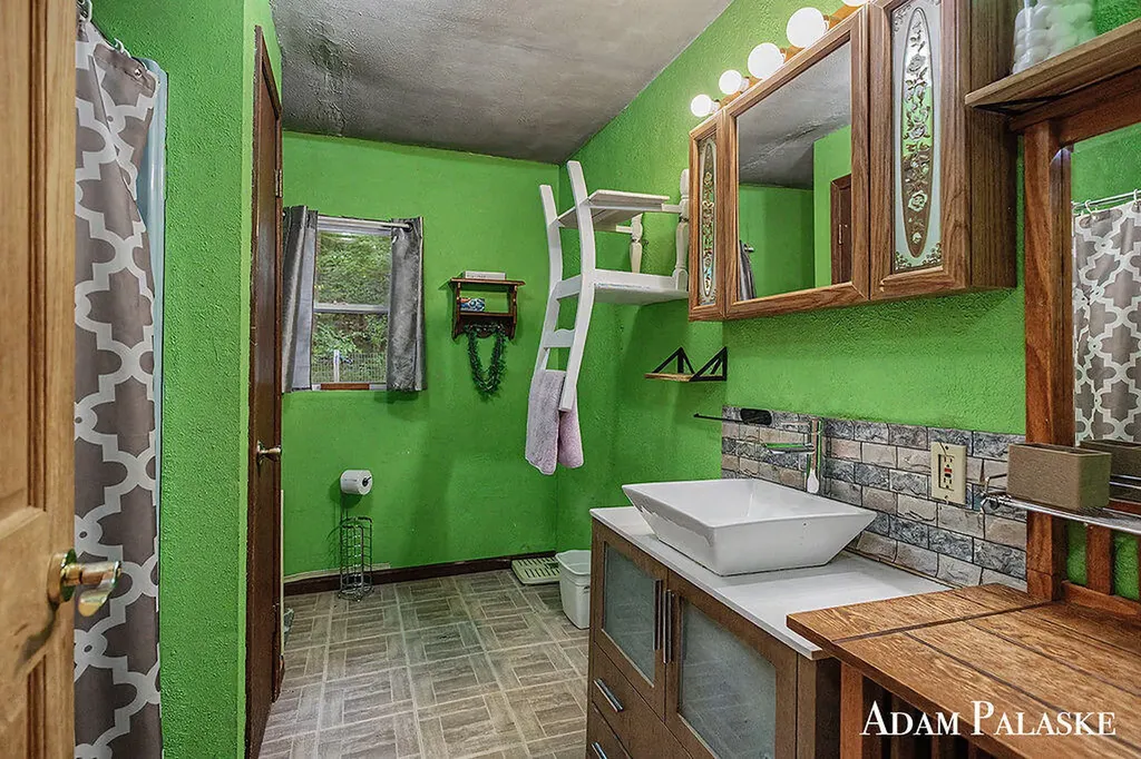 3542 Holiday Drive Montcalm Township MI 48838