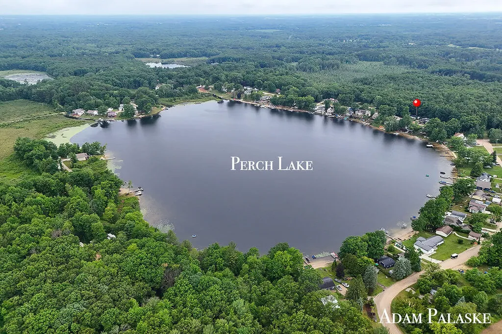 3542 Holiday Drive Montcalm Township MI 48838