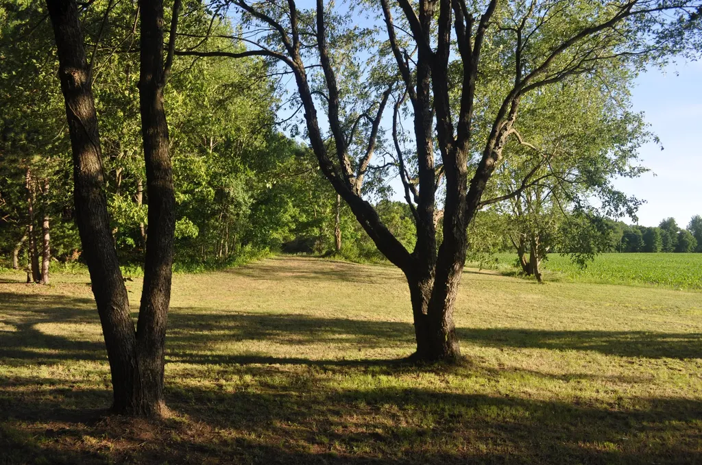 11450 16 Mile Road NE Oakfield Township MI 49319