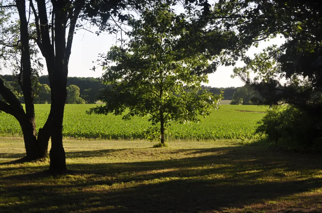 11450 16 Mile Road NE Oakfield Township MI 49319
