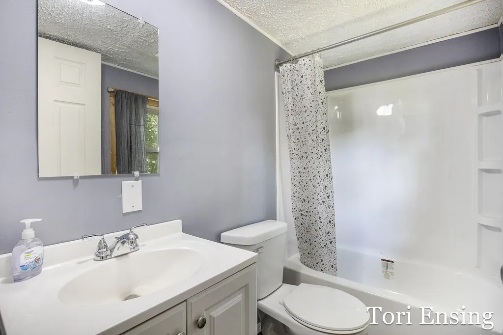 3211 Wood Duck Drive Bushnell Township MI 48884