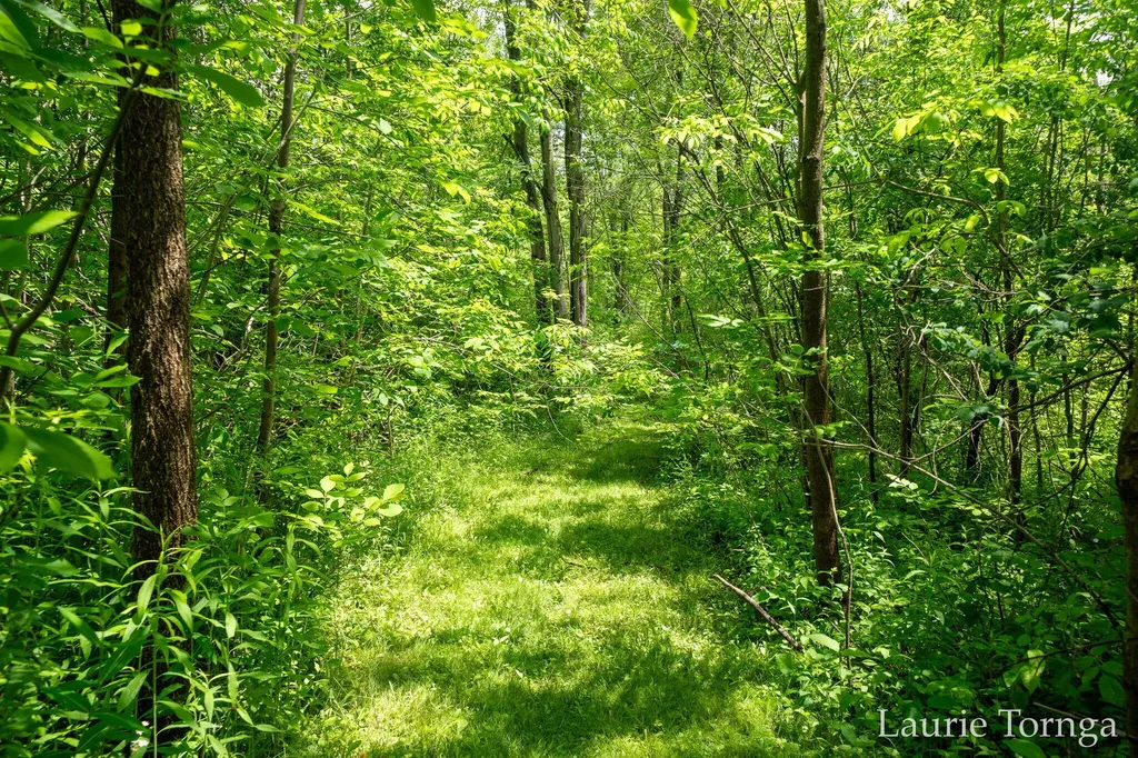 2670 Grand River Drive NE Ada Township MI 49525
