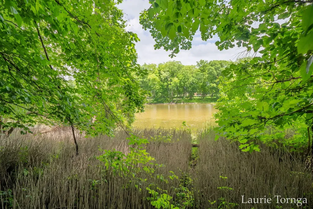 2670 Grand River Drive NE Ada Township MI 49525