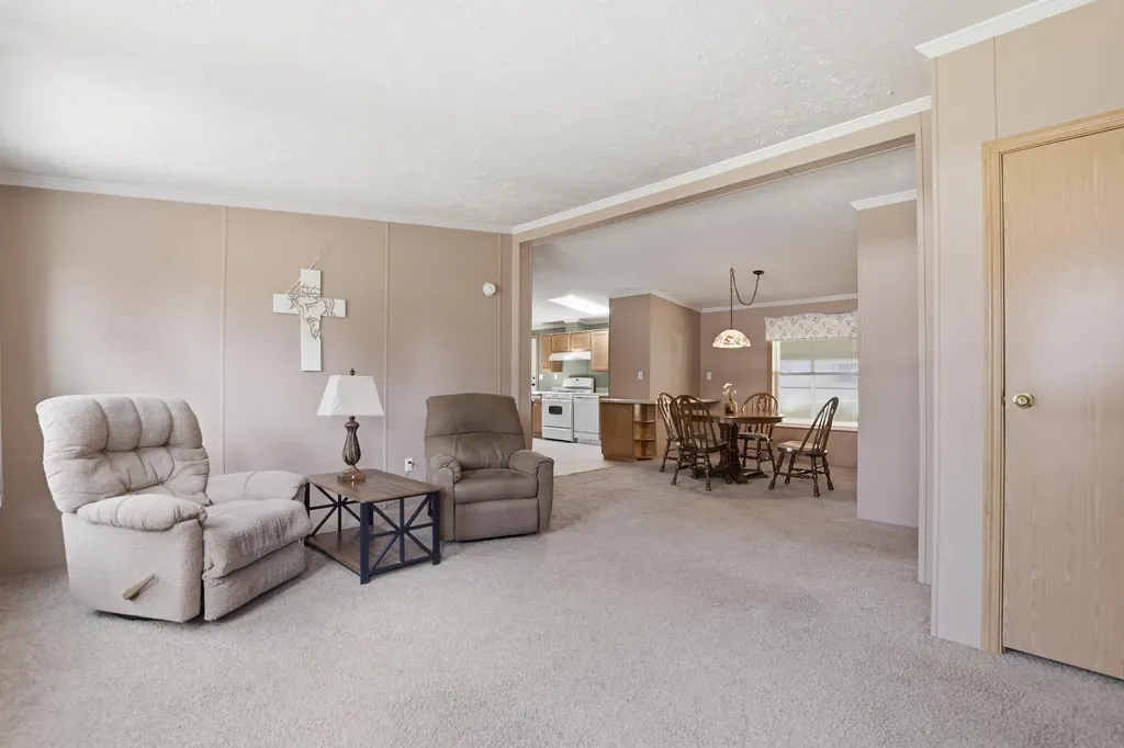 45 Pecan Avenue NE Solon Township MI 49319