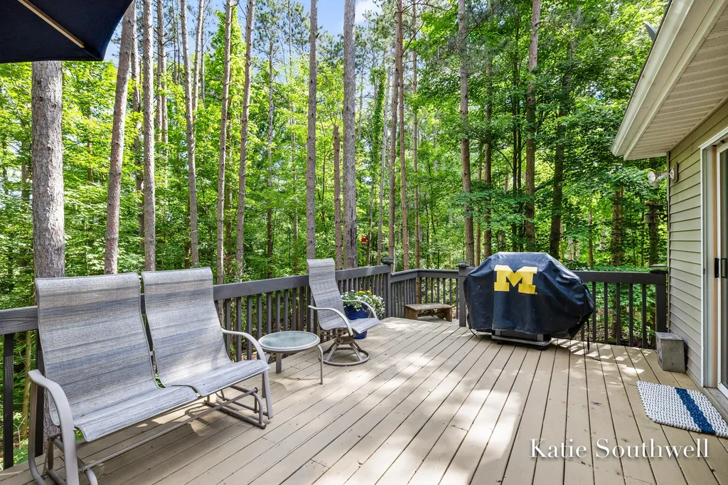 13569 Missy's Way Lowell Charter Township MI 49331