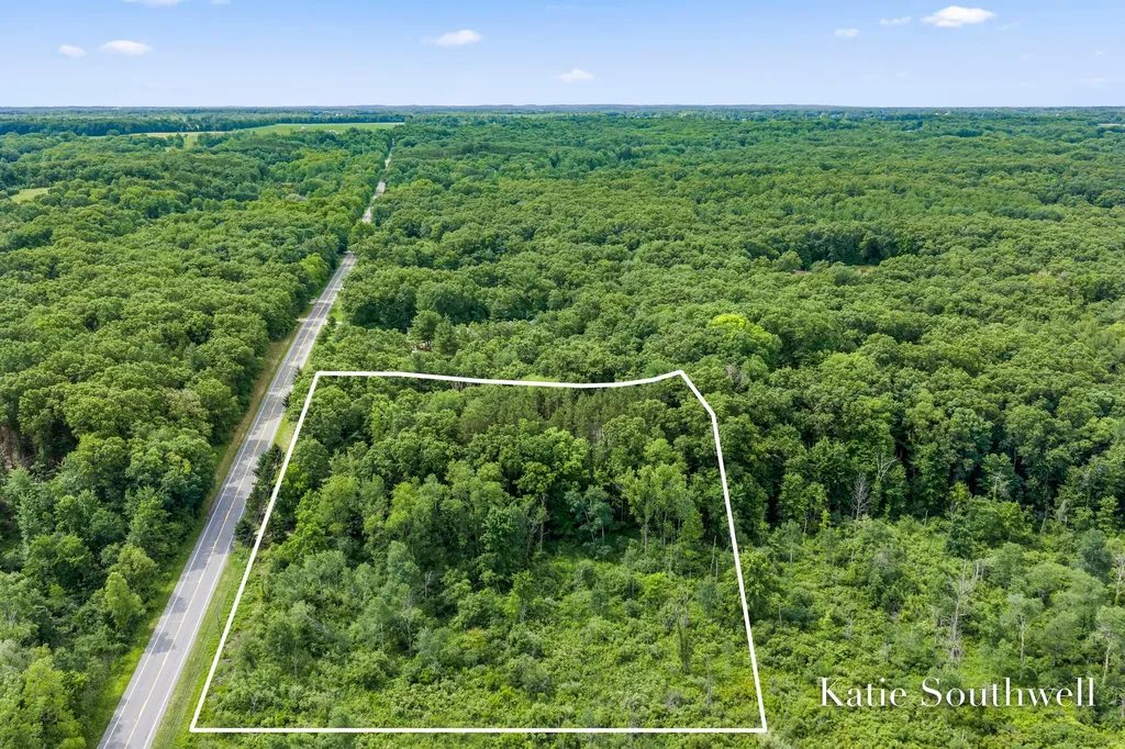 13569 Missy's Way Lowell Charter Township MI 49331