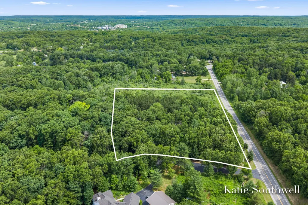 13569 Missy's Way Lowell Charter Township MI 49331