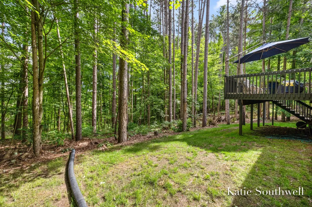 13569 Missy's Way Lowell Charter Township MI 49331