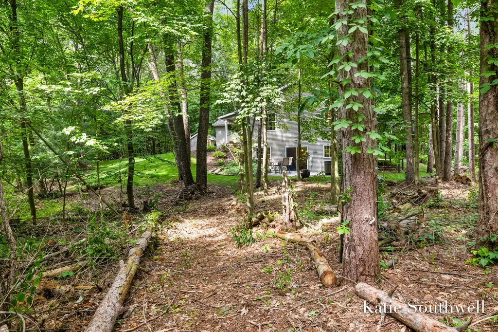 13569 Missy's Way Lowell Charter Township MI 49331
