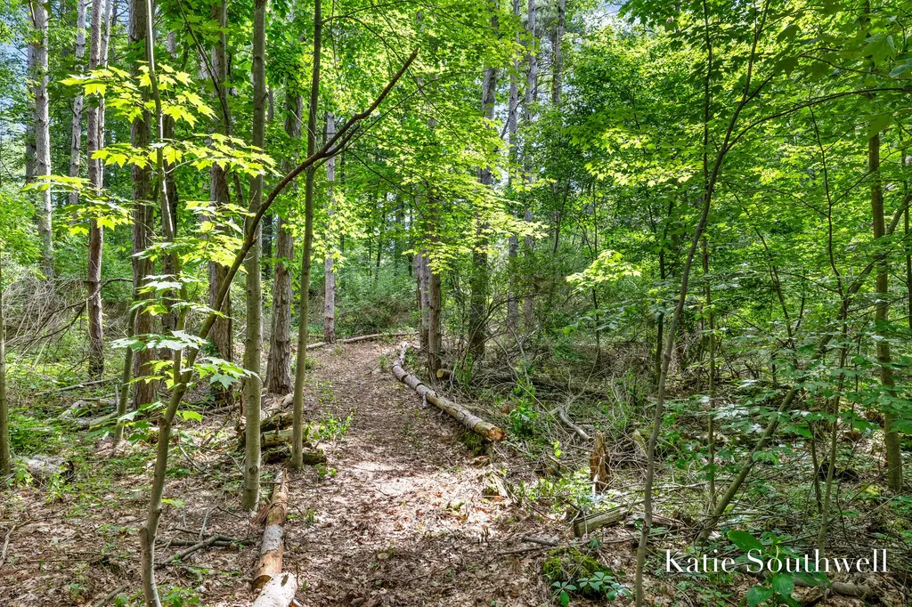 13569 Missy's Way Lowell Charter Township MI 49331