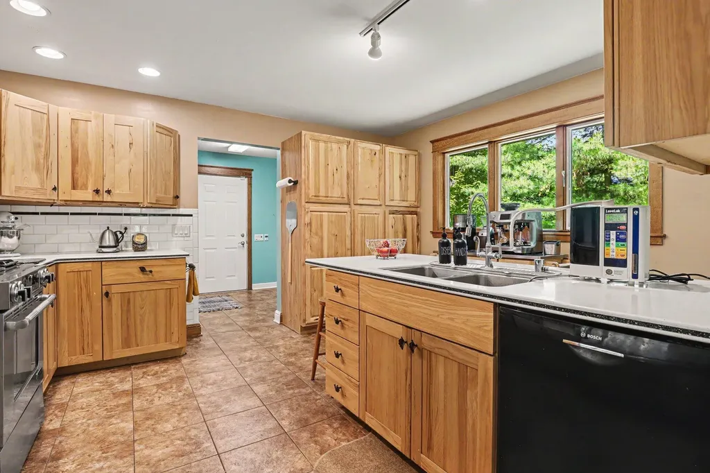 10735 Brown Lake Drive NE Oakfield Township MI 49341